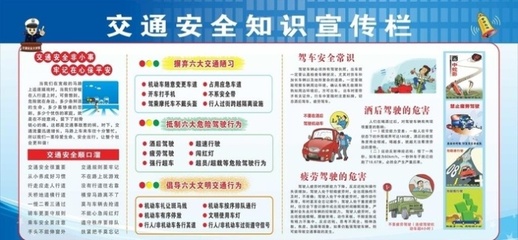 心肺复苏与药物过敏反应 关键急诊操作规程及急救资料获取